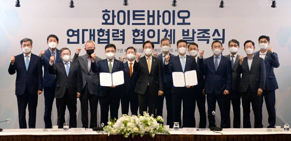 기사제목