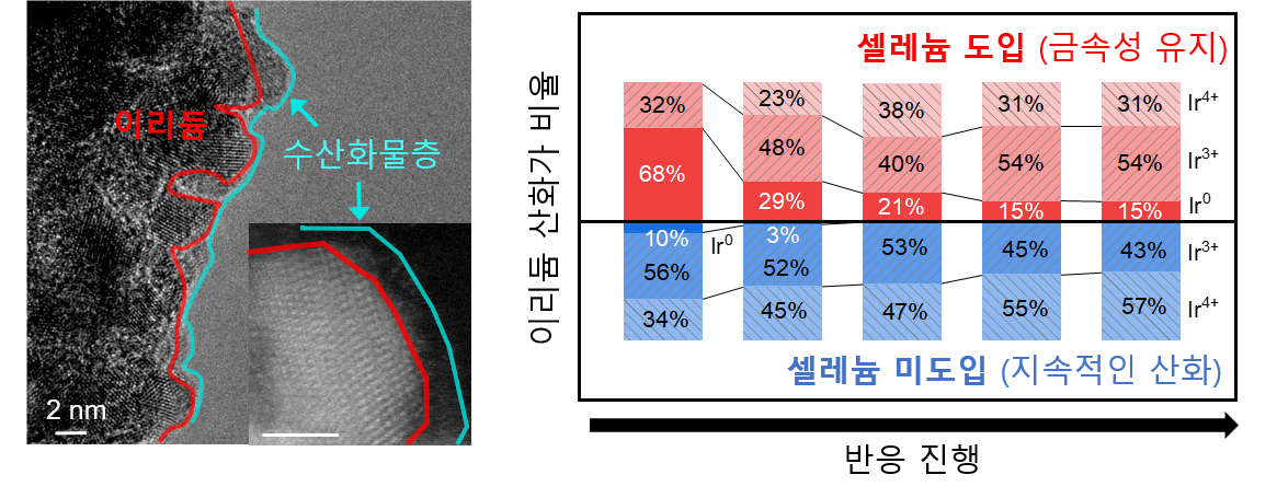 기사제목