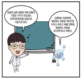 기사제목